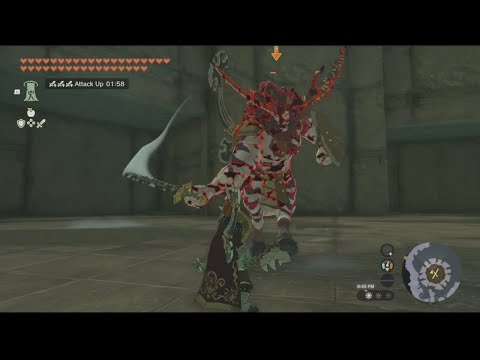 Phantom Ganon SLAUGHTERS an Arena of Lynels