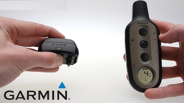 Support: Pairing a Delta Dog Device