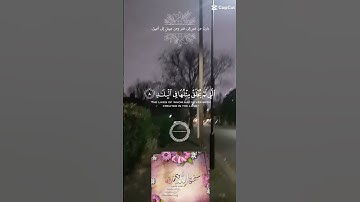 تلاوة خاشعة عطرة للشيخ سعد الغامدي ماتيسر من سورة الفجر