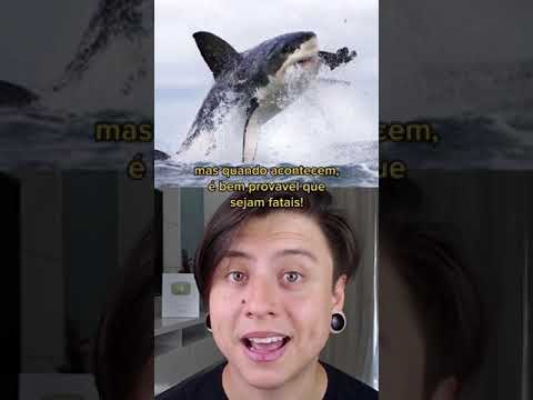 Vídeo: Como você instala um desligamento de picada de tubarão?