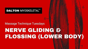 Nerve Gliding and Nerve Flossing Manual Therapy for Lower Body