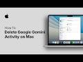 How to Delete Google Gemini Activity on Mac