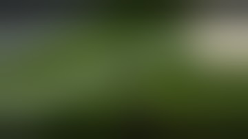 project zomboid build 41 winlator, bionic v1.5.2-ludashi