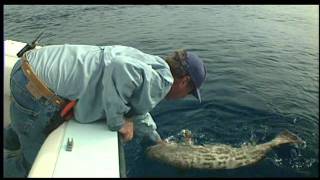 Anatomy of Fisheries Management