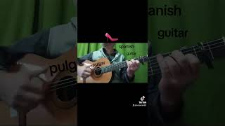 Spanish guitar