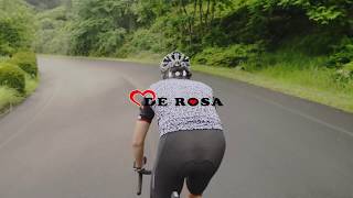 IDOL DE ROSA 2018