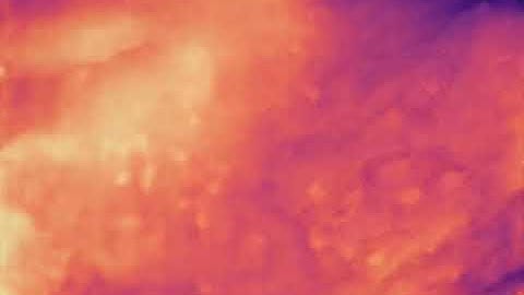 Monocular Depth Estimation on underwater video