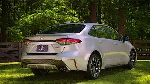 Toyota Corolla with Rutledge Wood