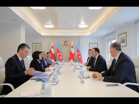 შეხვედრა აზერბაიჯანის მილი მეჯლისის თავმჯდომარე საჰიბა გაფაროვასთან