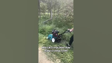 Máy cắt cỏ trục băm chuyên nghiệp chạy xăng #nông_nghiệp #automobile