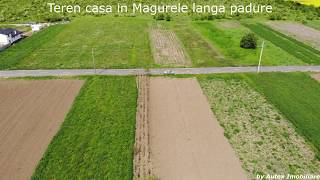 Teren Magurele