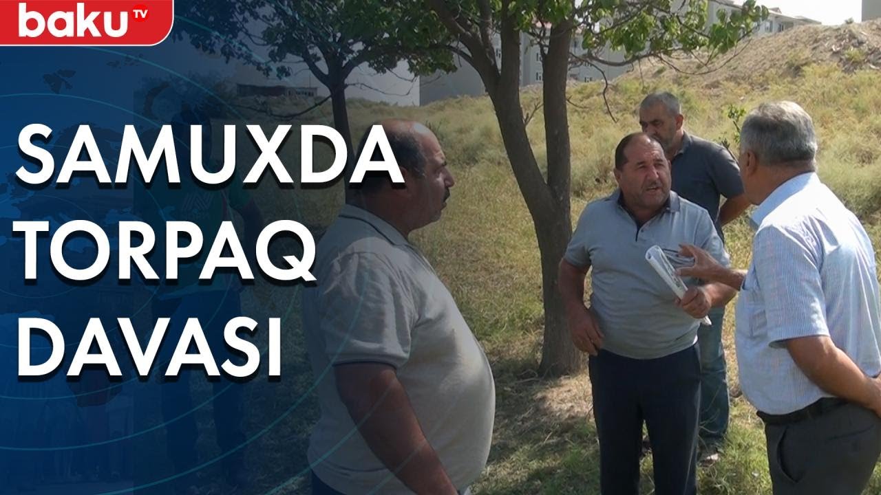 Əkin sahələrinin otlaq kimi istifadəsi narazılıqlara səbəb oldu - Baku TV