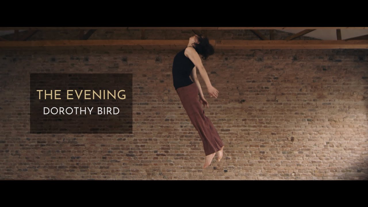 Dorothy Bird  - The Evening (official music video)