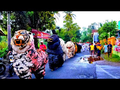Asmr Lion Dance And Drumband Parade In The Village Of Komerian Asmr Lion Dance And Drumband Parade In The Village Of Komerian