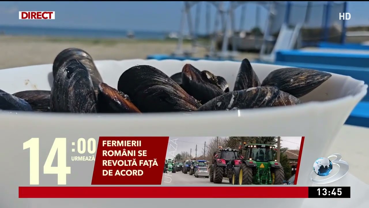 Alertă alimentară: Pești din Marea Neagră contaminați cu microplastic