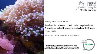 Trade-offs between coral traits - implications for natural selection and assisted evolution