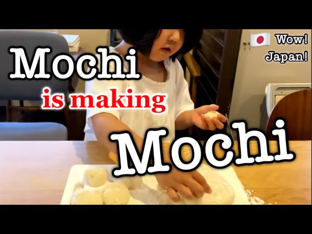 Mochi Maker (Rice cake) SMJ-B18U