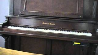 Tiny Toon Adventures Theme As Played By Bryan Pezzone