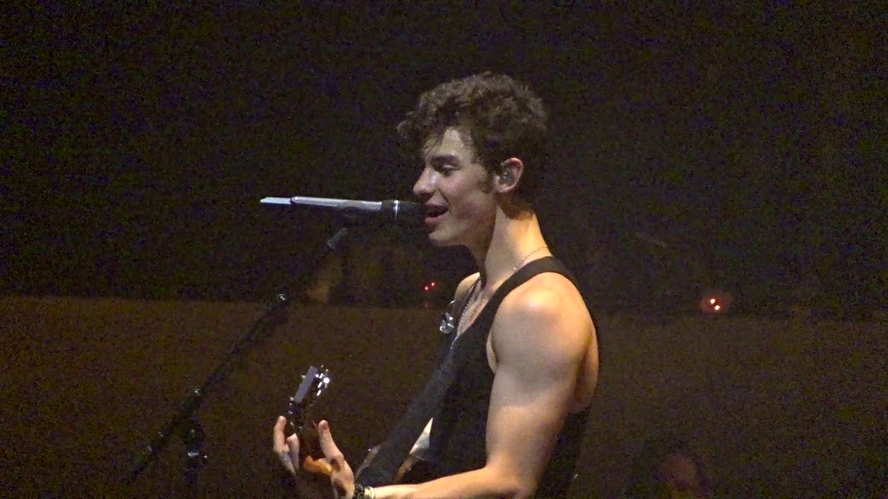 Shawn Mendes The Tour Vienna__Fallin all in you YouTube