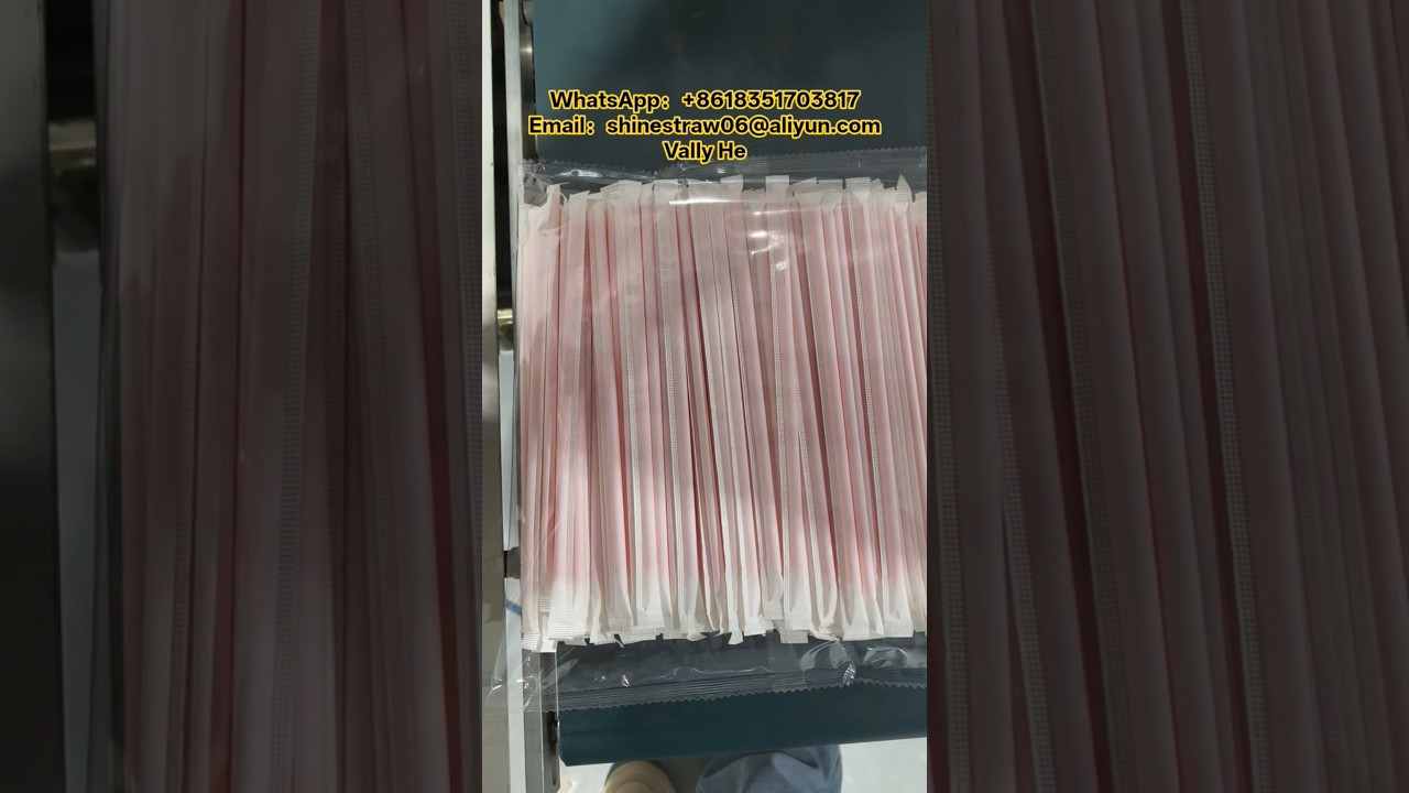 Straw packaging machine production Line,Single and multiple straw packaging machine equipment