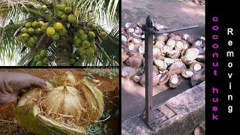 REMOVE COCONUT HUSK USING DEHUSKING TOOL|PASSION WORLD