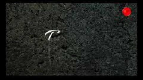 LaoNeis Band - Tetes Air Mata (Official Lyric)