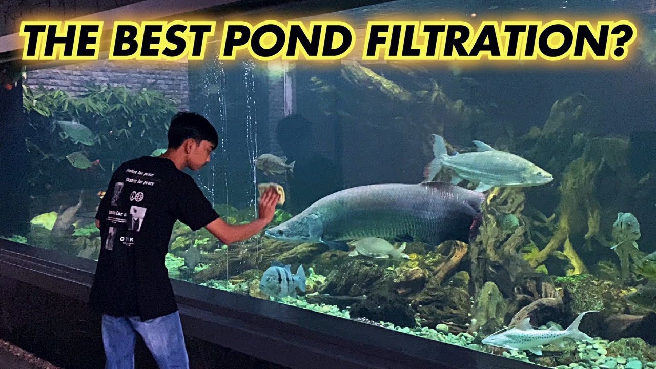 BONGKAR FILTER KOLAM IKAN TERBAIK - MEGATANK 100TON #85
