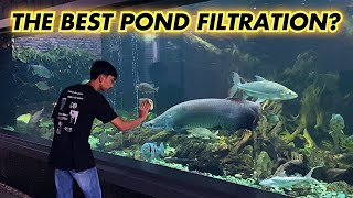 HOW EASY TO MAINTAIN 27,000GAL MONSTER FISH TANK ?