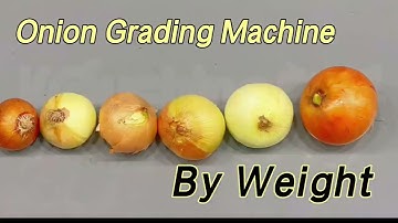 Onion Weight Grading Machine