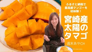 ふるさと納税で初体験！宮崎産太陽のタマゴが美味しすぎた！！