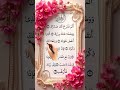 Surah Al Nashrah#shorts #quran #islamicvideo #islamicreminder#youtubeshorts surah alm nashrah