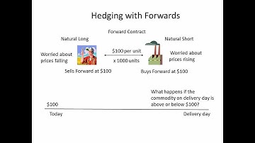 Hedging with Forwards