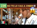 236. 😱😨 NUNCA habíamos visto esto  | ESCUELA MONTESSORI MÉXICO 🇲🇽