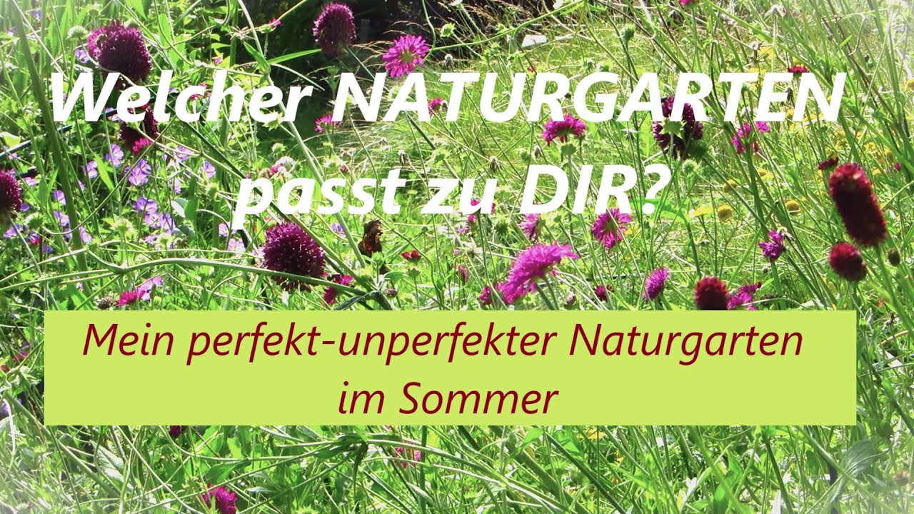 Welcher Typ von Naturgarten passt zu Dir? Vom entspannten, freudigen Naturgärtnern:)