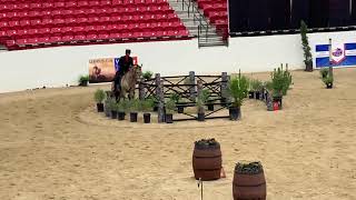 Andalusian World Cup 2019 Advanced (L6) Working Equitation Ease of Handling Cossaco & Jill Barron