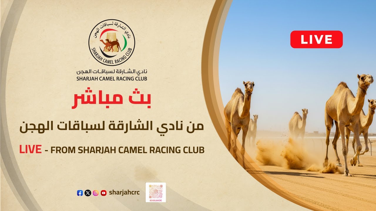 بث مباشر- نادي الشارقة لسباقات الهجن. شارة الديوان(9) لسن اللقايا صباح الأحد 18\1\2026