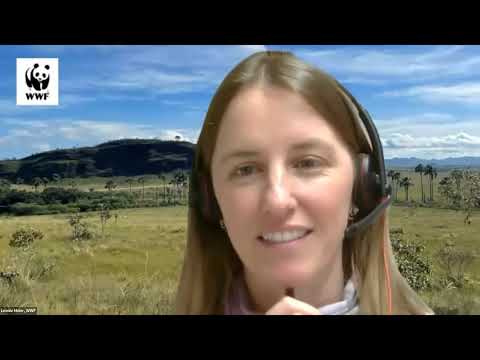 One Land, One Vision: Integrating Rangeland & Pastoralist Solutions into Global Env Frameworks
