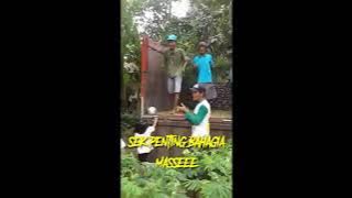 Sek Penting Bahagia~ Infone Mass eee...