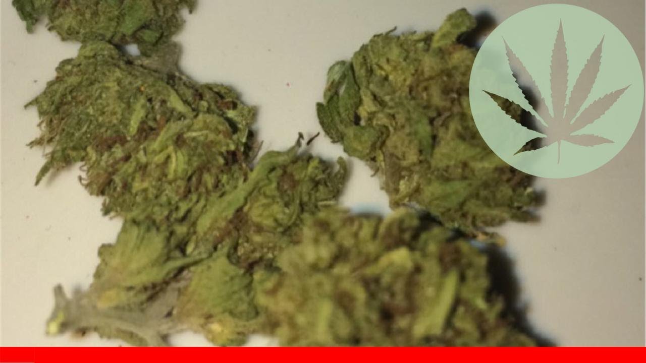 Blue Wreck - All About This Strain