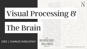 Visual Processing and the Brain Podcast