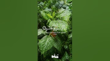 #معَارِج- سورة العصر كاملة- عثمان الحداد (١٠٢)