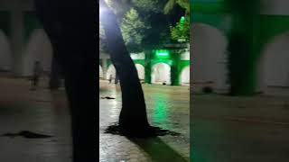 Ya Shaheed E Karbala✋Ya Husain🌙Moharram taziya2025#viral #Shorts#status#viralshorts#YtShorts#reels