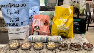 Lagotto Romagnolo Premium Dog Foods
