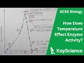 GCSE Biology - Effect of Temperature on Enzyme Activity
