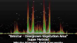 Brinstar - Overgrown Vegetation Area - Super Metroid