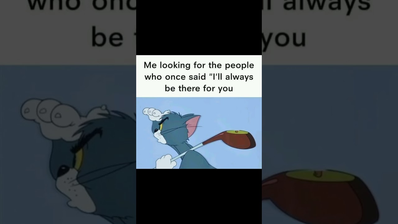 Funny Memes Sarcasm! 