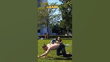 👆🏾 The ONLY Animal Movement Patterns You Need (🦎🐸🦒) #animalmovement #primalmovement