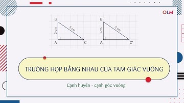 Trường hợp bằng nhau đặc biệt của tam giác vuông | Toán 7 | OLM.VN