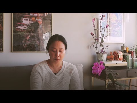 Hello, How have you been? I lost my Pala | Dodo & Teddy  #TibetanVlogger #TashiDodo #tibetanyoutuber