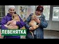 В Миколаївському зоопарку показали новонароджених левенят